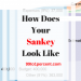 How Does Your Sankey Look Like